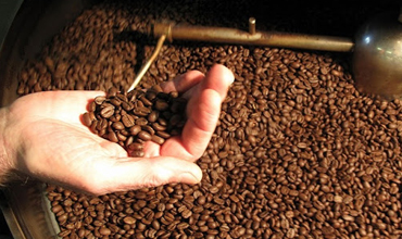 Cách chọn cà phê nguyên hạt thơm ngon