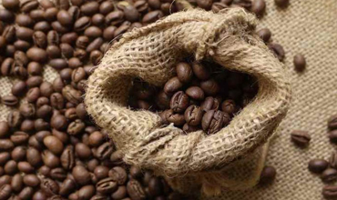 Vì sao nên uống hạt cà phê rang xay nguyên chất?