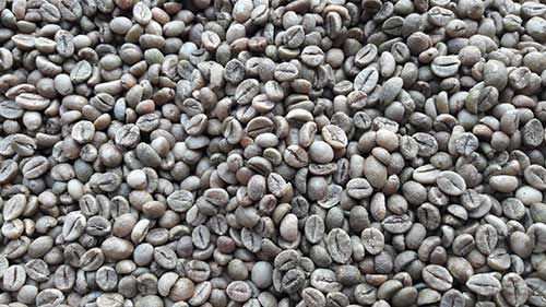 Cà phê hữu cơ Oganic